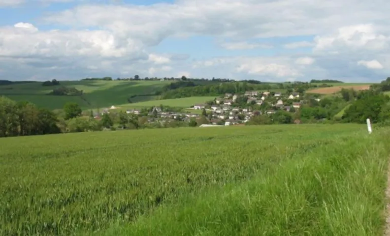 CAMPAGNE et FORET