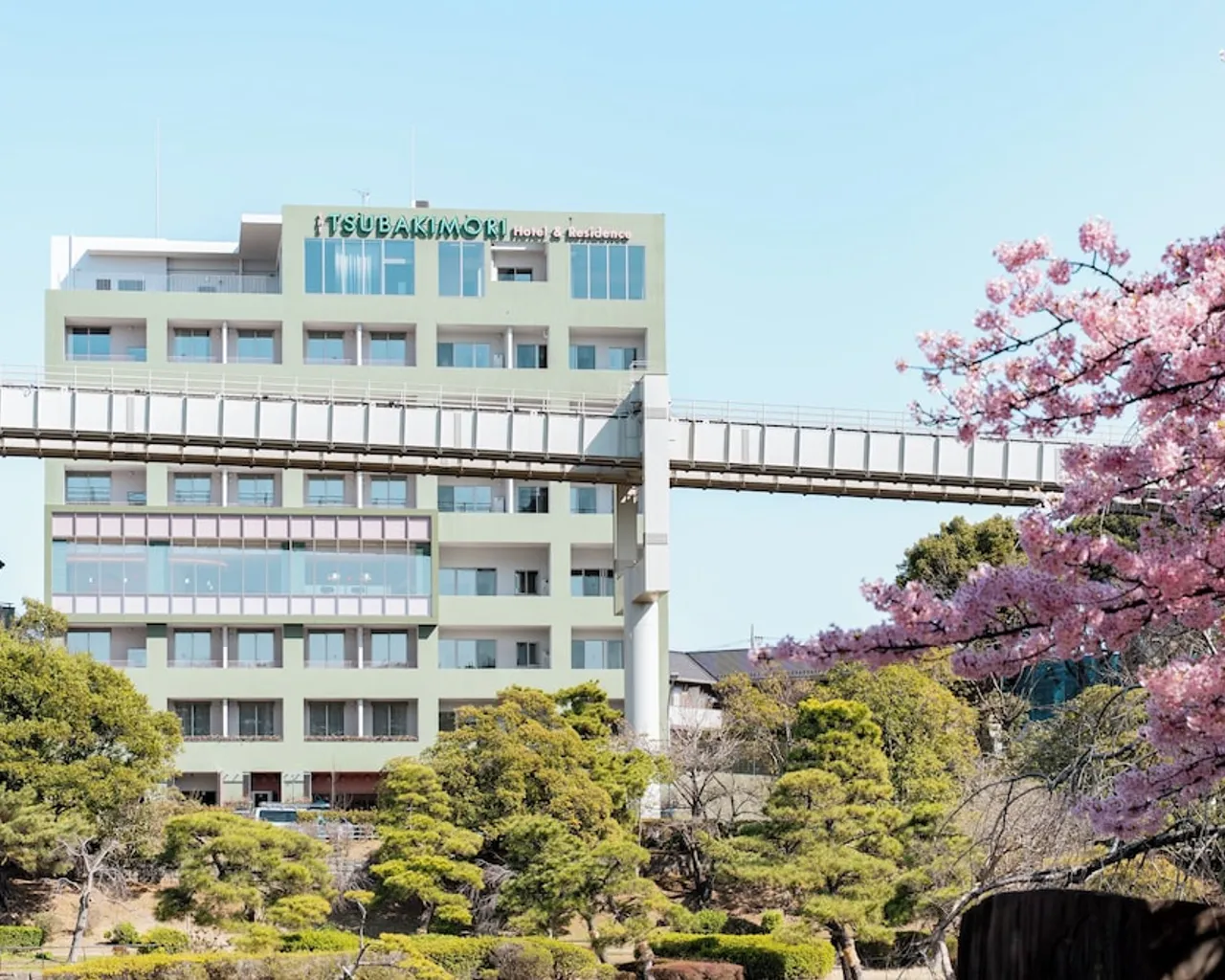 기본 이미지