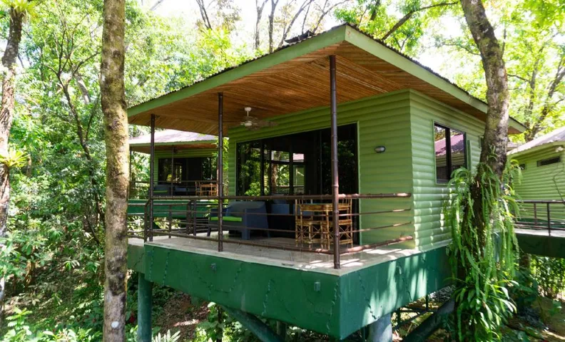Arbol Verde Villas