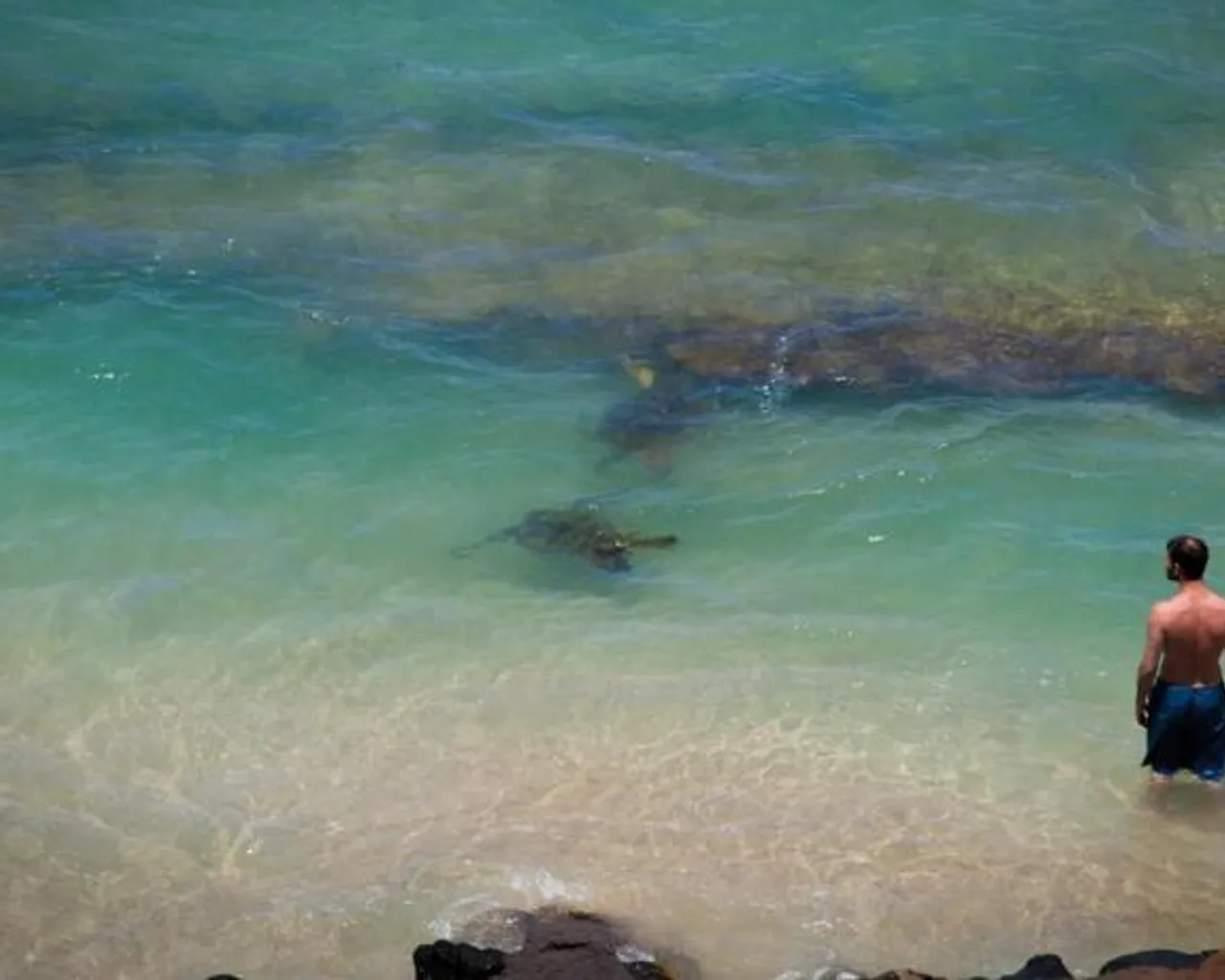 주변 환경