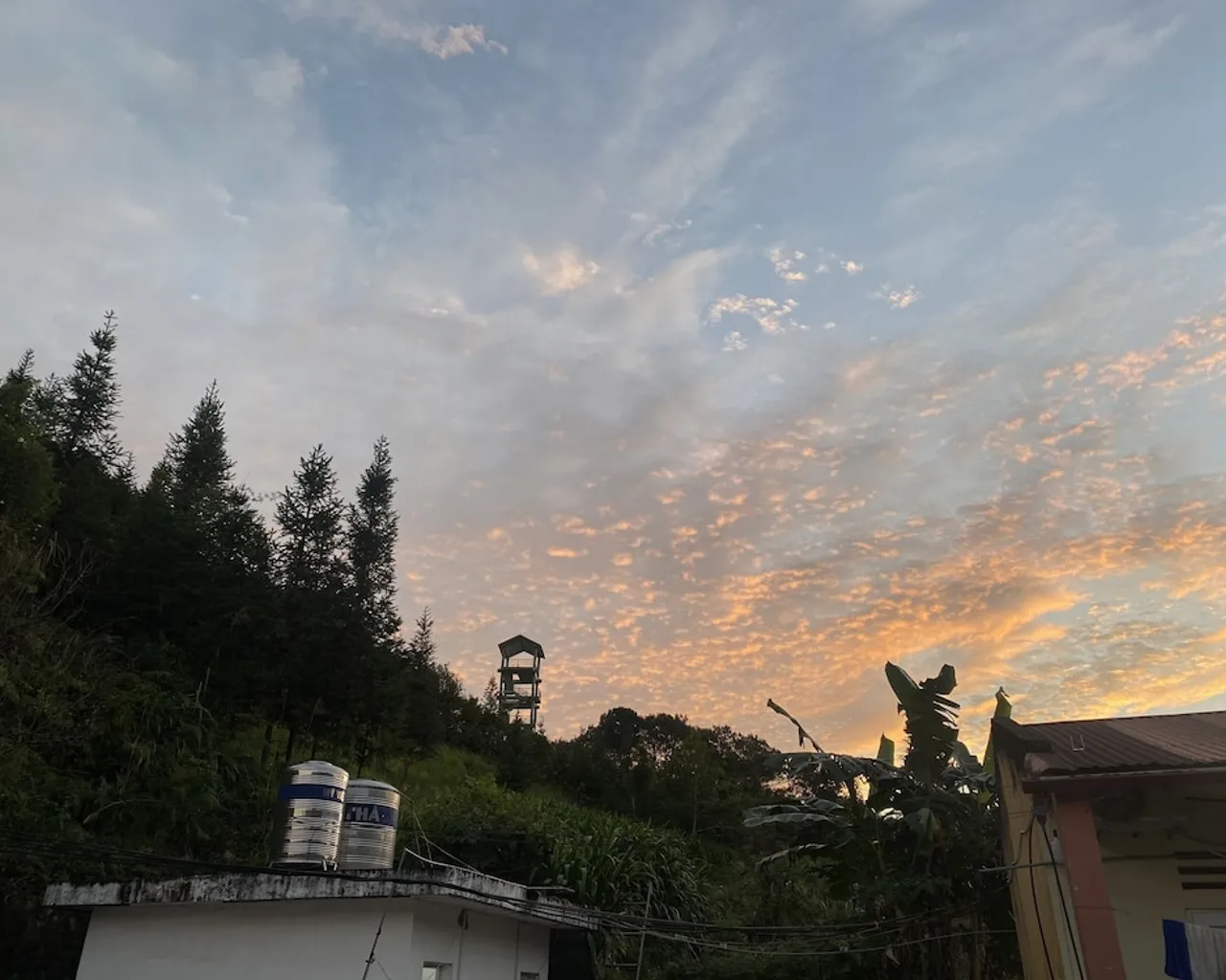 기본 이미지