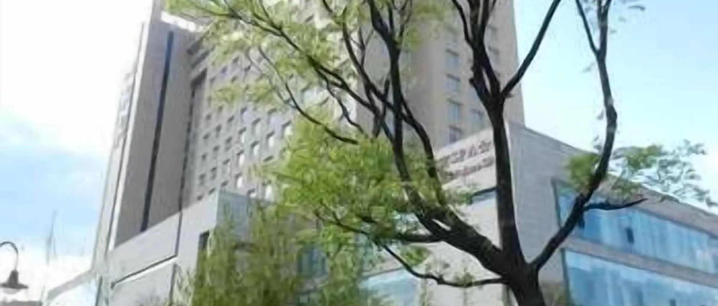 기본 이미지