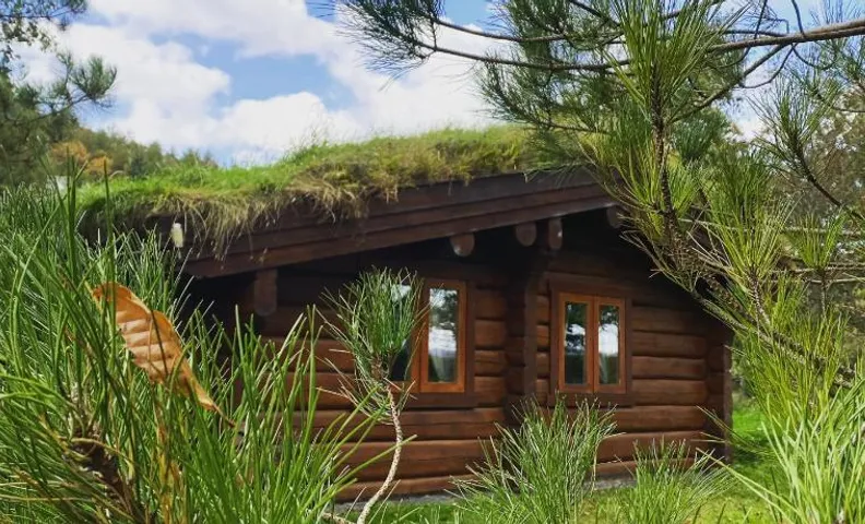 Log home village