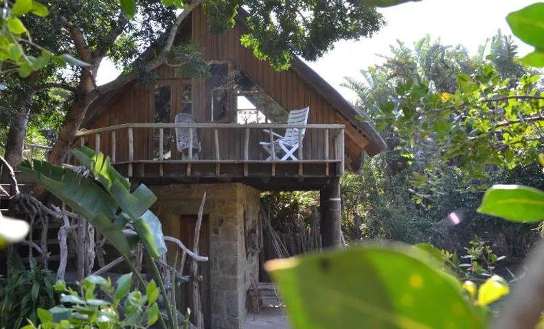 Driftwood Treehouse