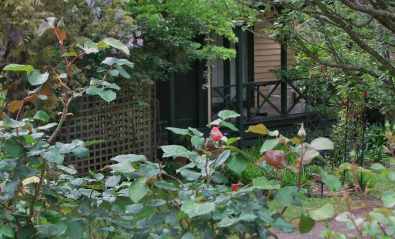 Leafield Cottages