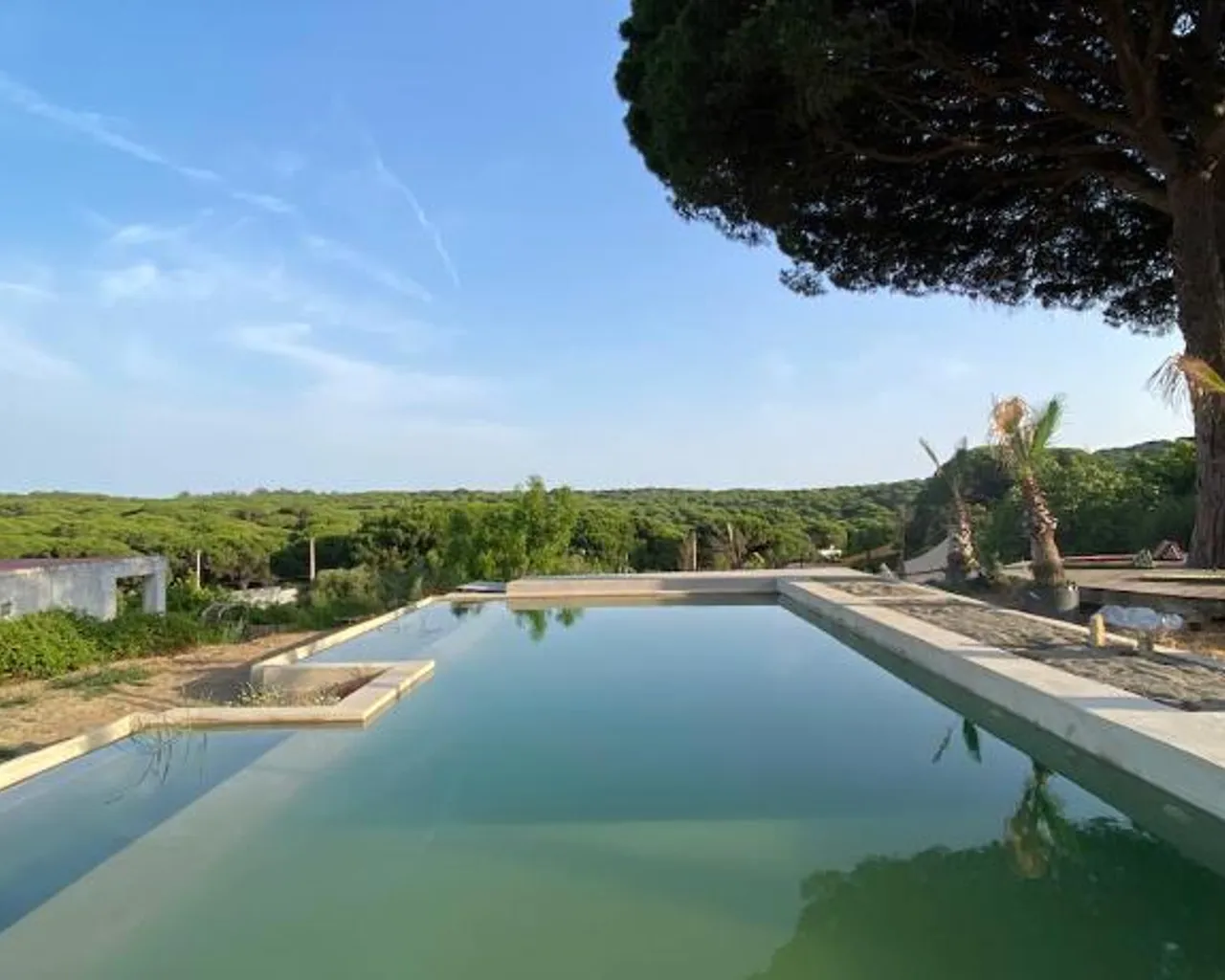 주변 환경