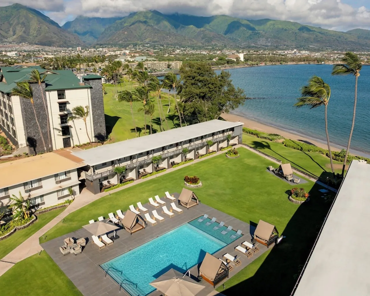 기본 이미지