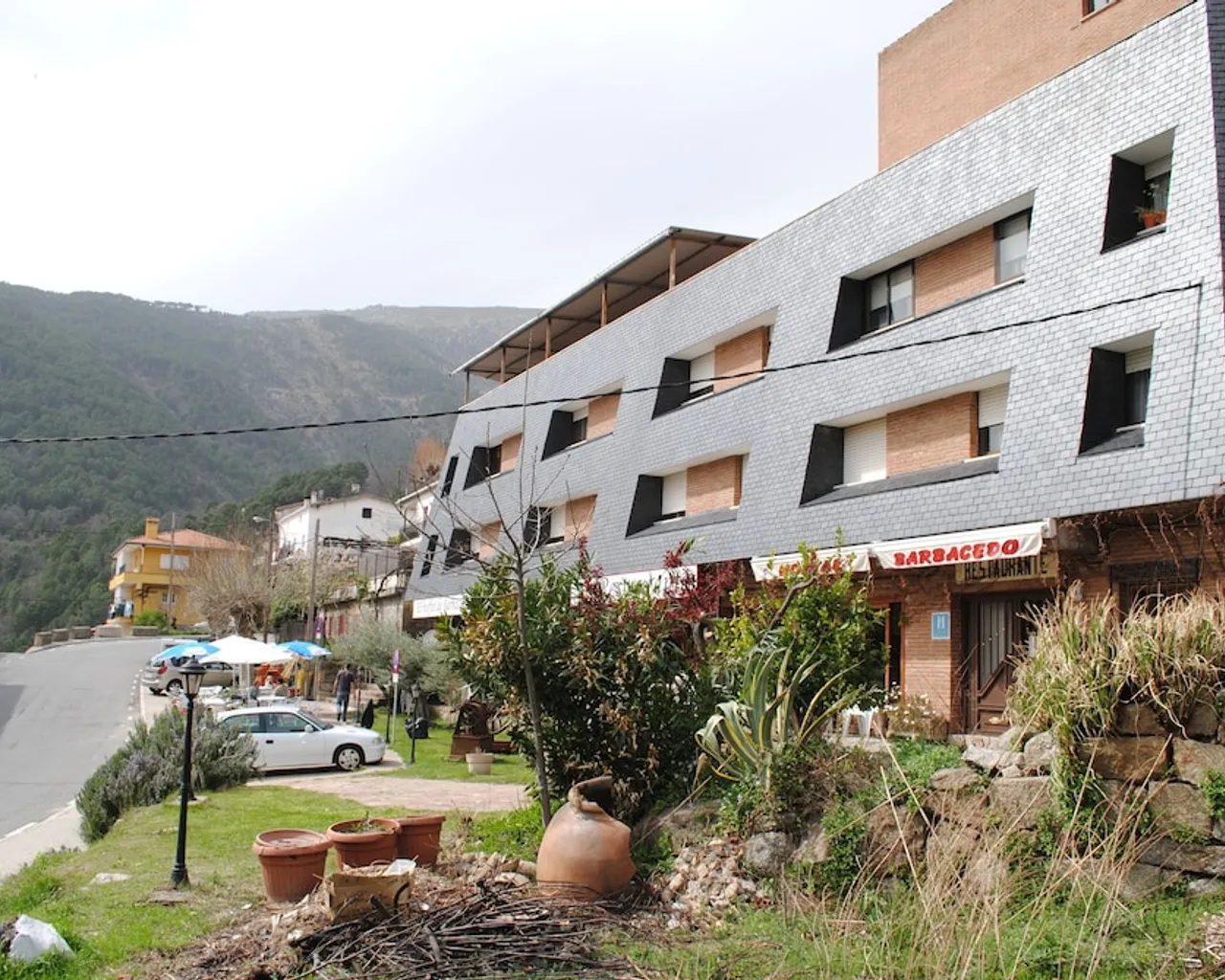 기본 이미지