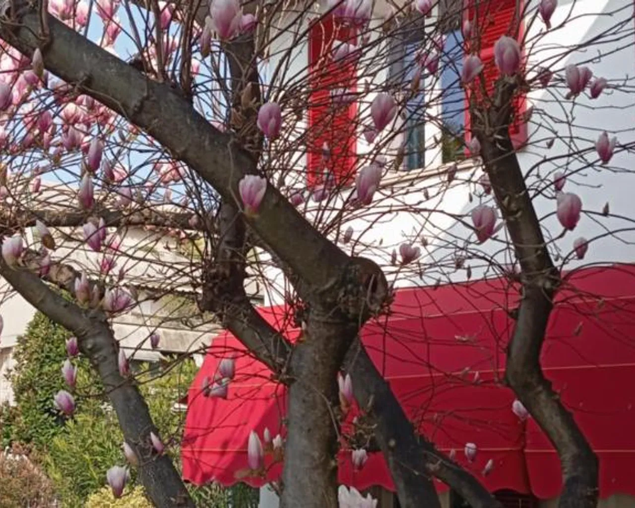 숙소 외관