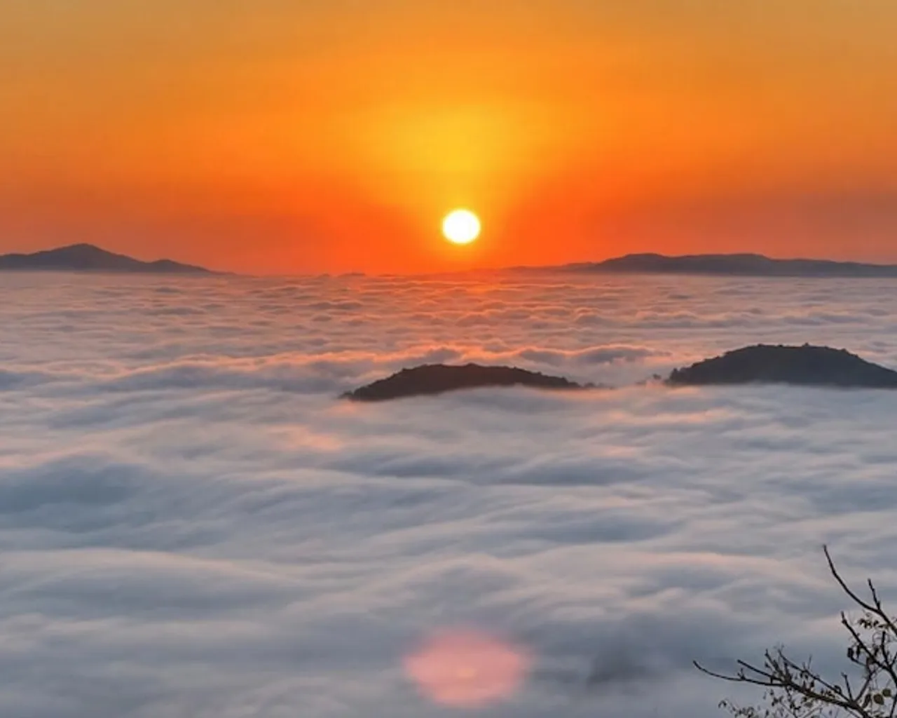 기본 이미지