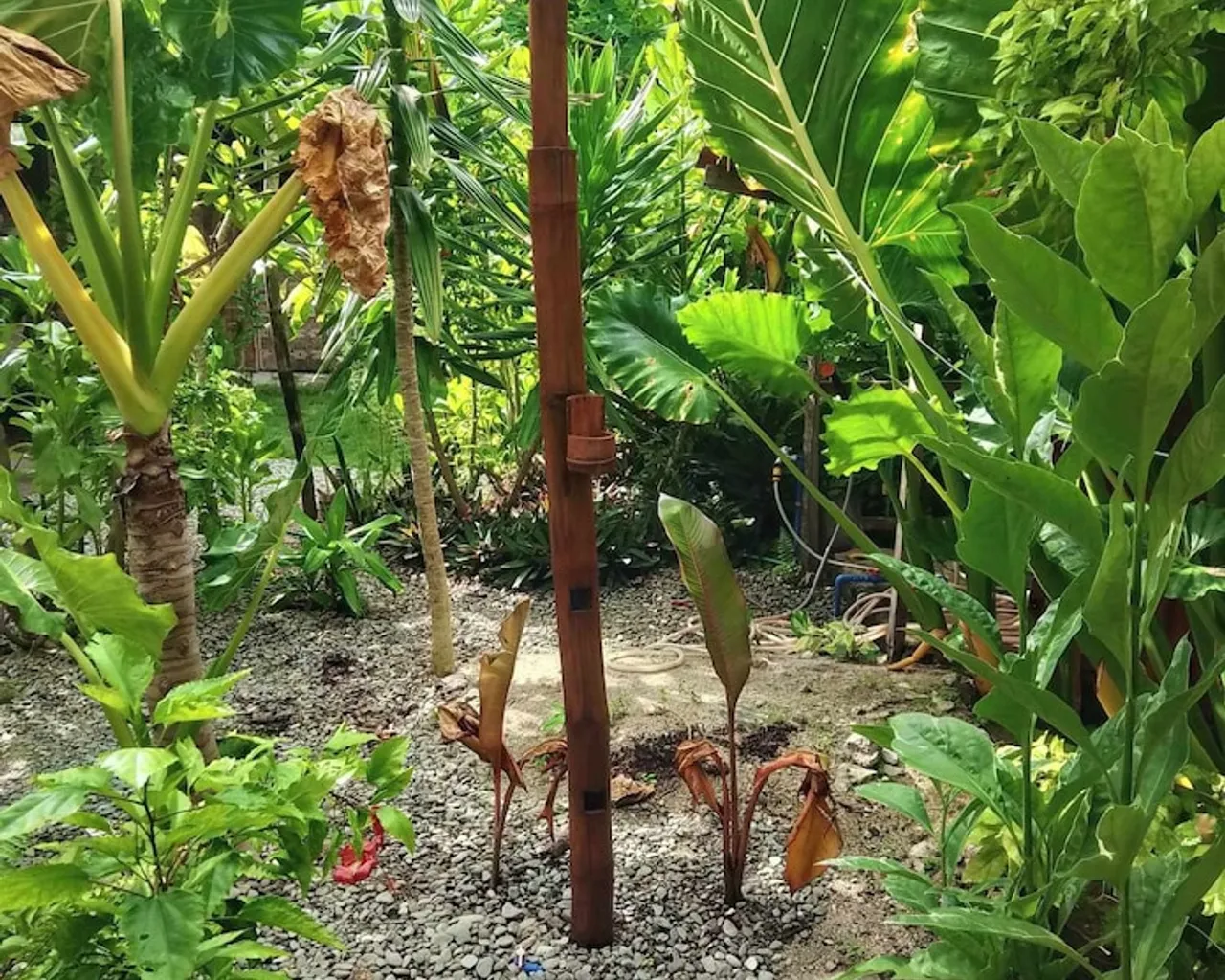 숙소 주변