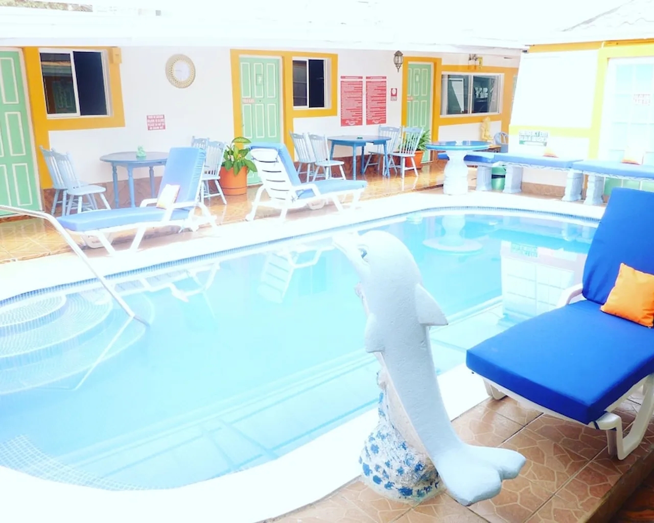 기본 이미지