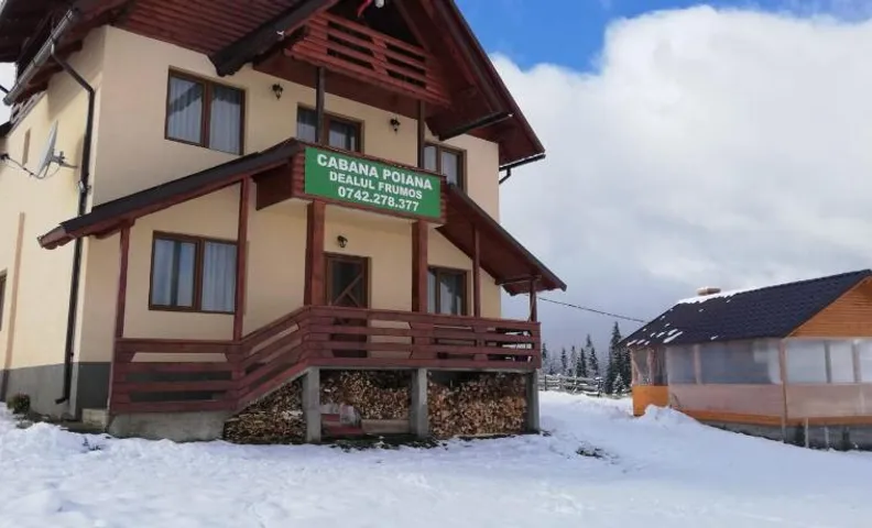 Cabana Poiana Dealul Frumos