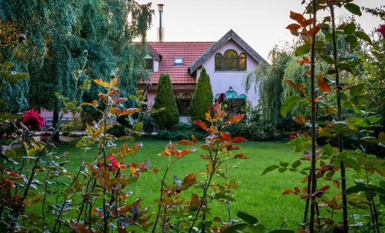Daiconi Boutique House