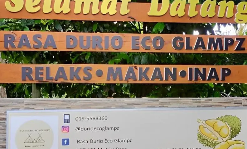 Rasa Durio Eco Glampz