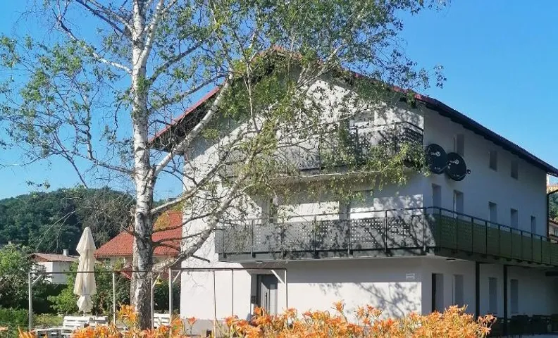 Apartments & rooms Saša