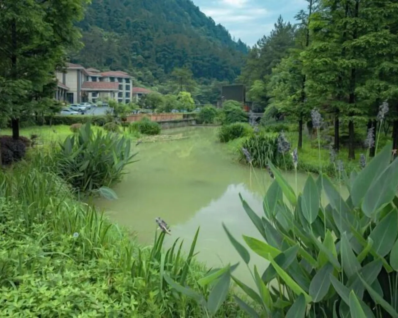 숙소 주변