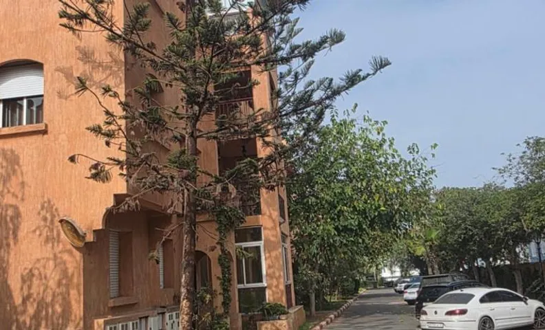 Dar Tourabi