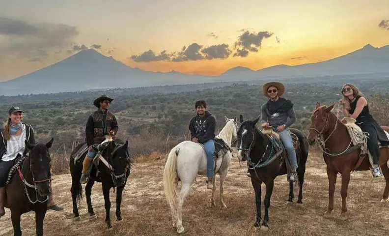 Horse & Bed Hostel