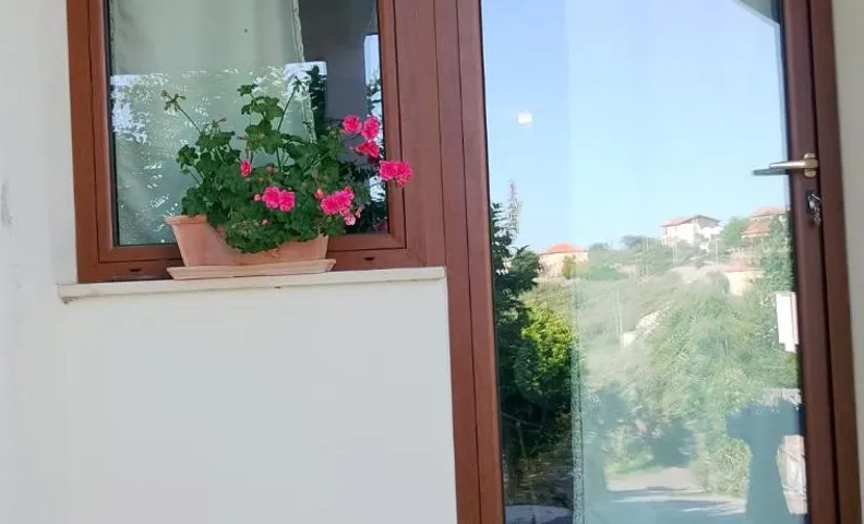 Serendipity