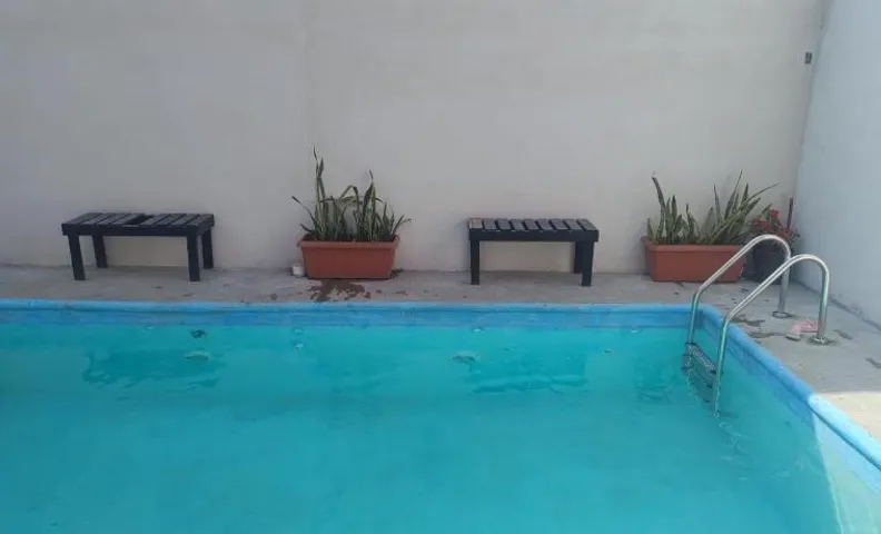 El nogalito