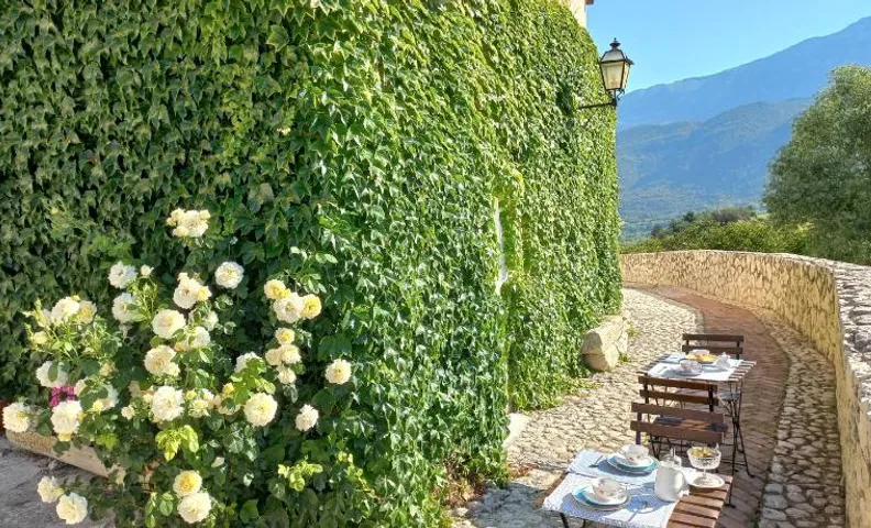 L'Armonica di Nonno Sandro