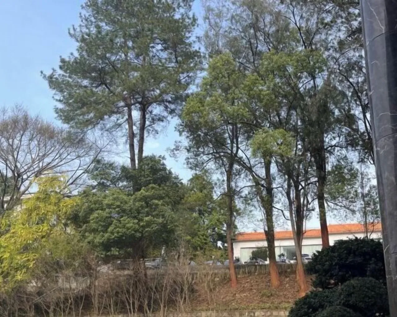 정원