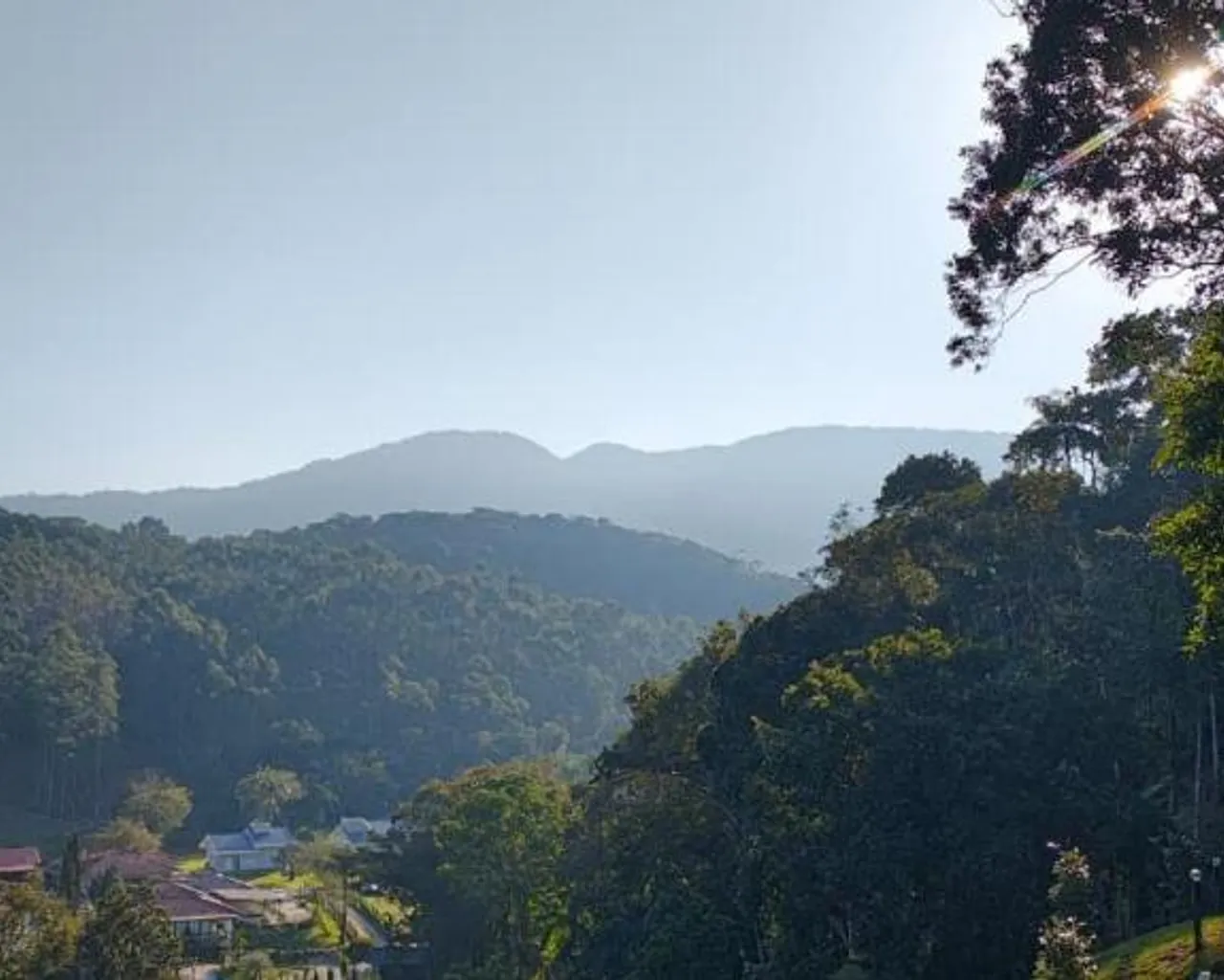 주변 환경