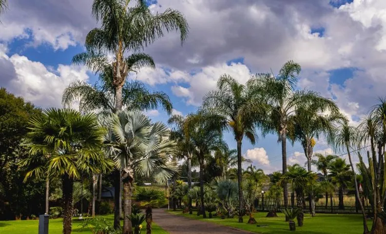 Palmera Guest House