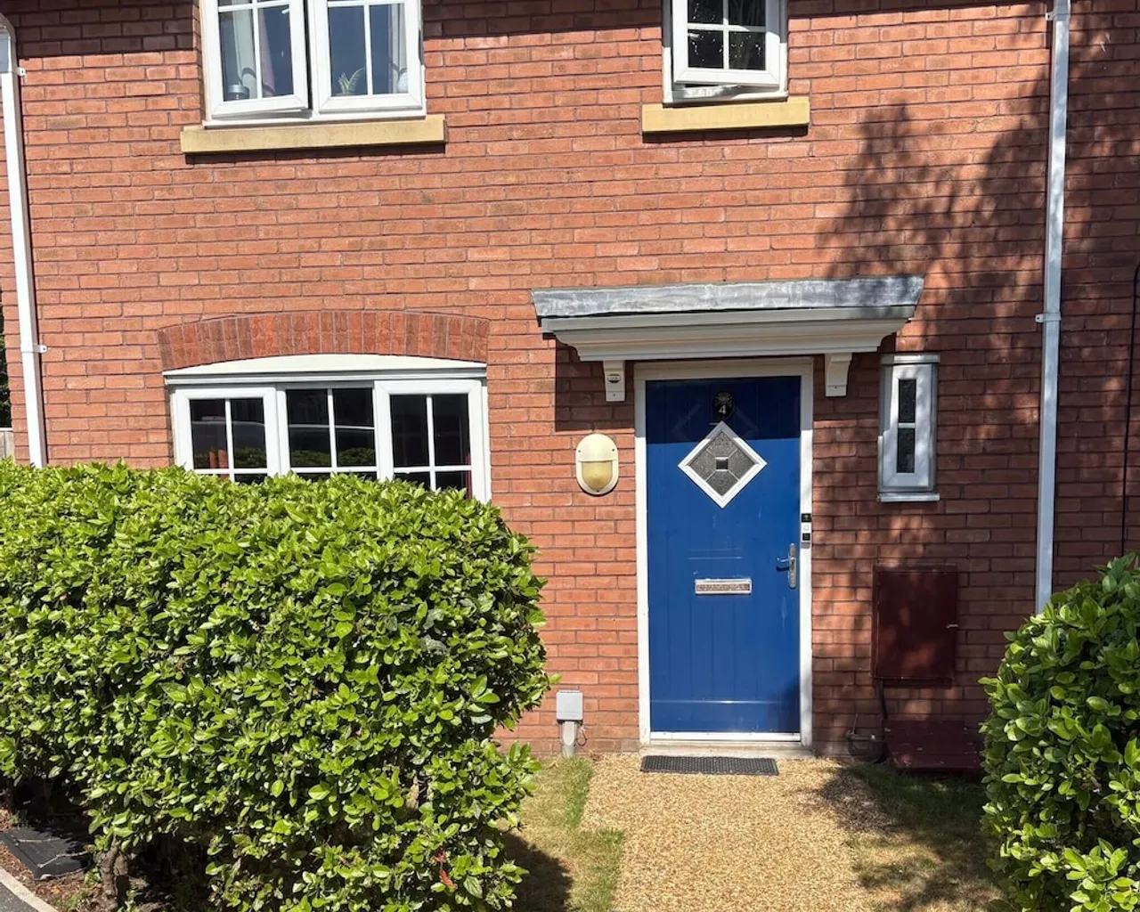 기본 이미지