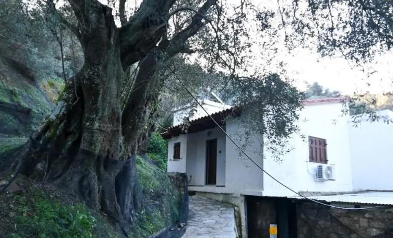 Chania Hillside 2BD Home - Nature & Comfort by ΜΡS