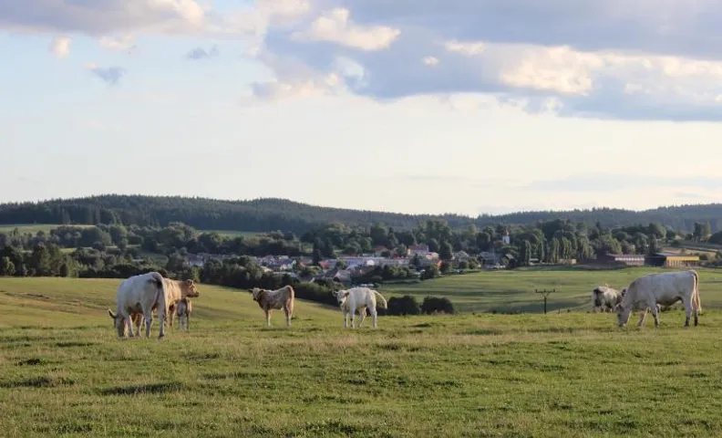 Čtyři pokoje