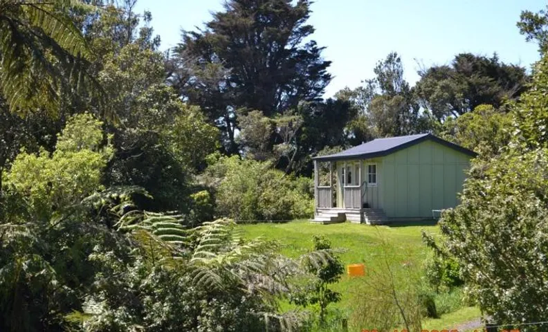 Tree Fuchsia Cabin