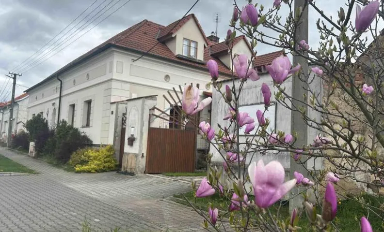 Privát u koní