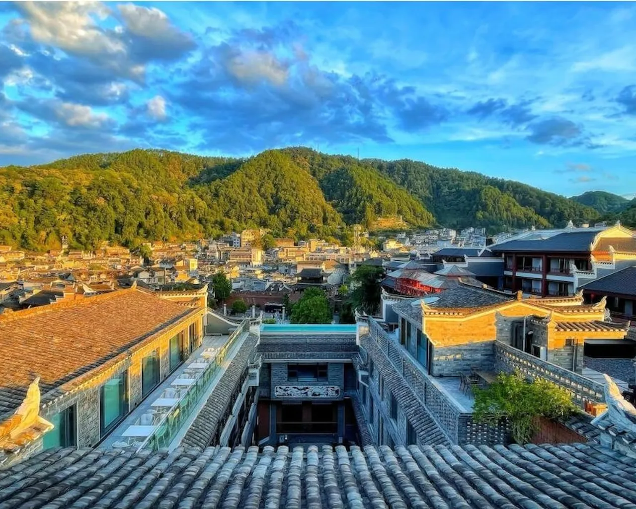 기본 이미지