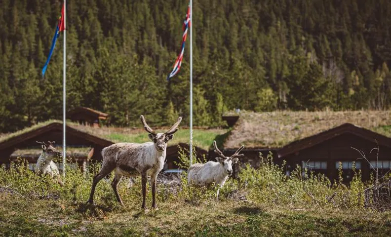Saltdal Turistsenter