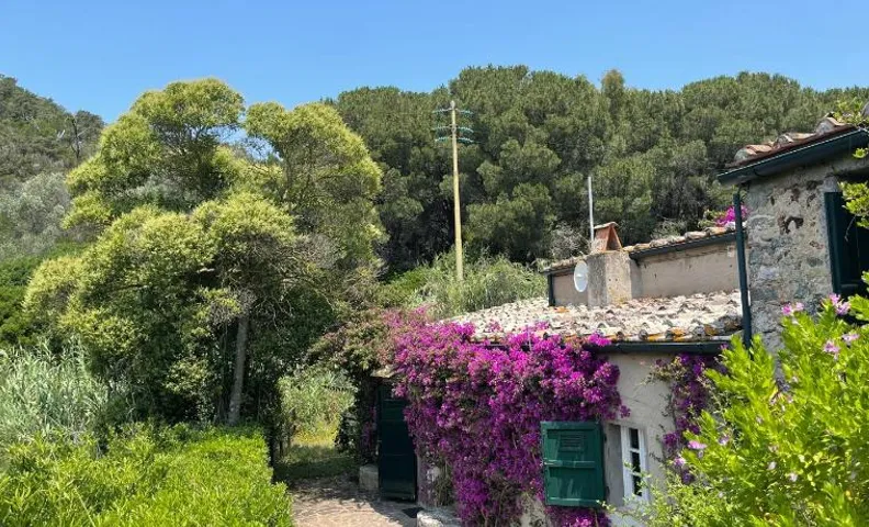 The Old Mill with Private Garden and Torrent