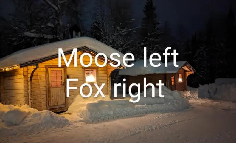 Lapland Snow Moose