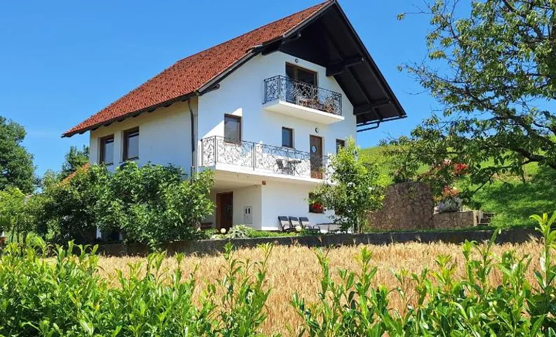 Vineyard Apartments near Rajhenburg Castle