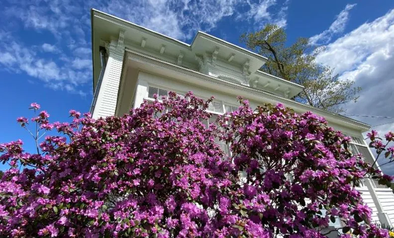 Bloom Farm Guesthouse