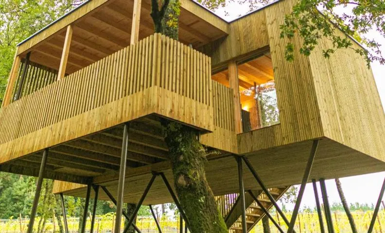Glamping y Cabañas el Encanto- los novios