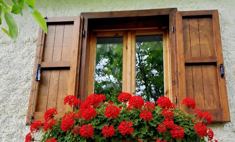 Rustic Italian House