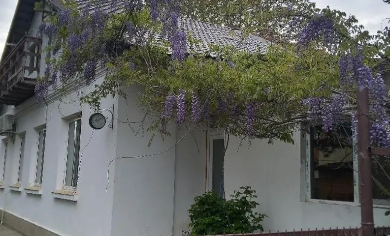 CASA MEA-Casa Mocanu