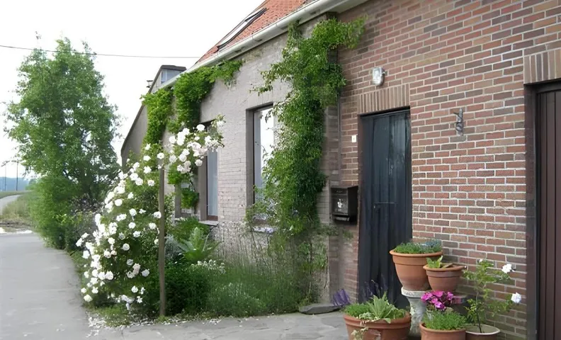 Guesthouse Kolibriehuys