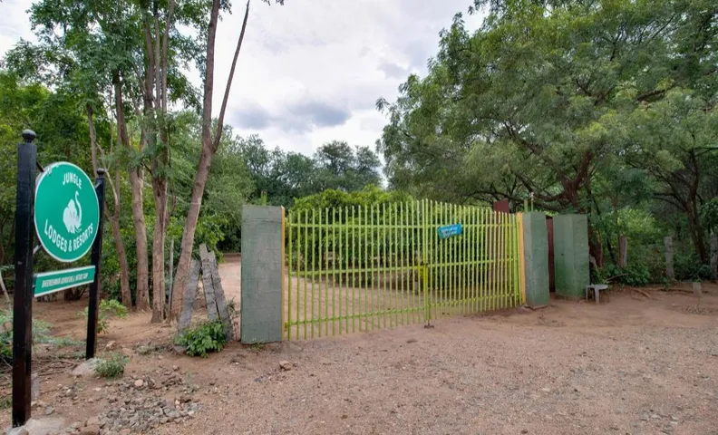 Bheemeshwari Adventure and Nature Camp-Jungle Lodges