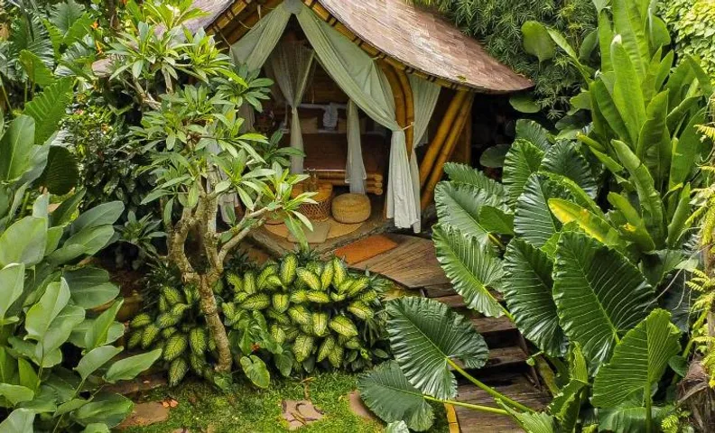 Wahem Eco Bamboo - Wahem Tebenan
