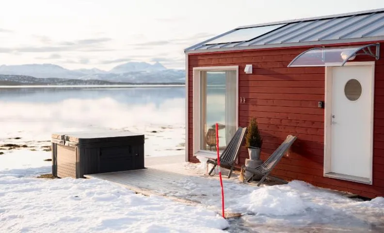 Norwegian Wild