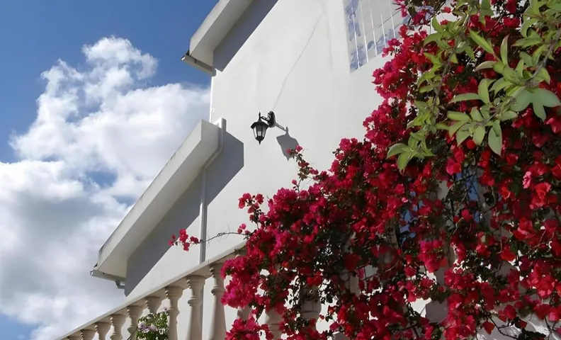 Jantesta Guest House