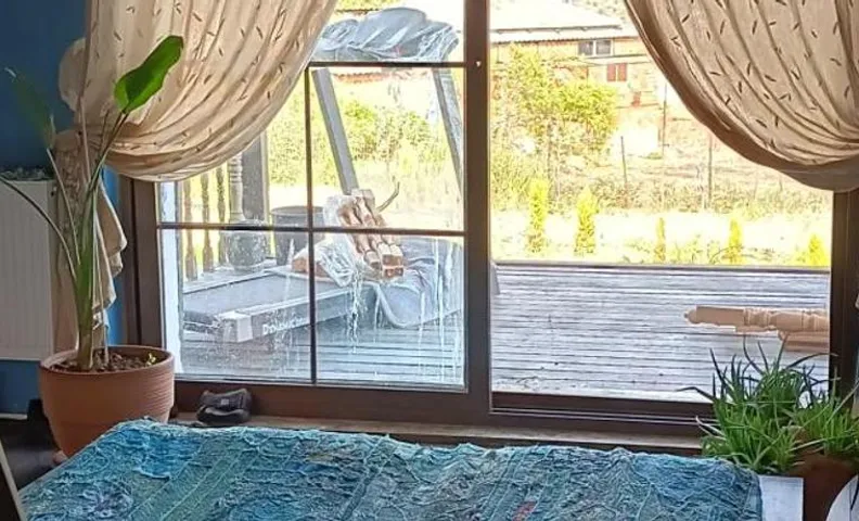 mor salkım bahçe