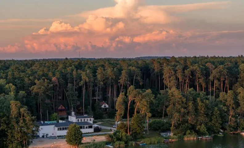 Leśna Partęczyny